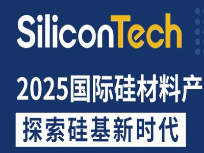 SiliconTech2025(gu)HϮa(chn)I(y)չ[(hu)